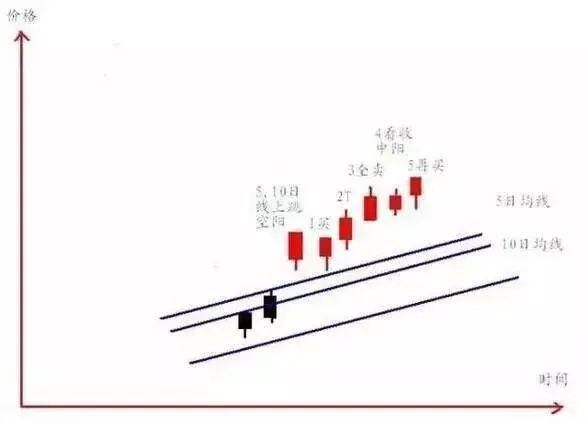 顶级的炒股股民，都知道T+0买卖法可以减少很多风险