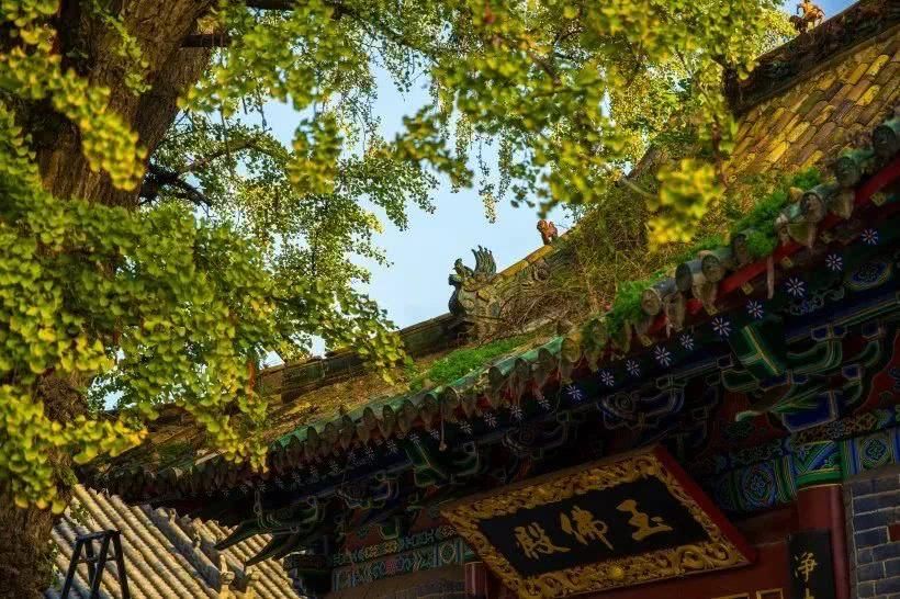 河南洛阳宜阳灵山寺风景图片