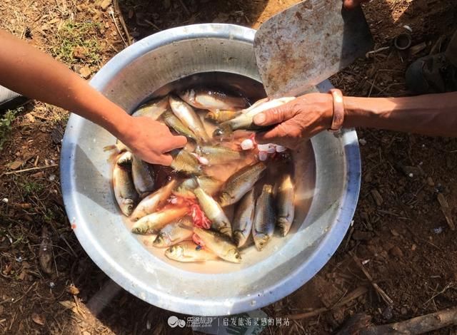 简单粗暴又美味，泸沽湖边美食新探索！