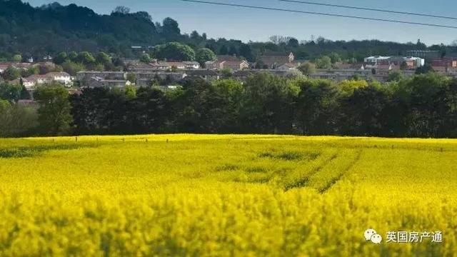 英国房产通：英国将建牛津剑桥特区，缓解住房紧张问题