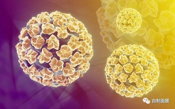 HPV疫苗致人死亡?日本叫停了宫颈癌疫苗?而