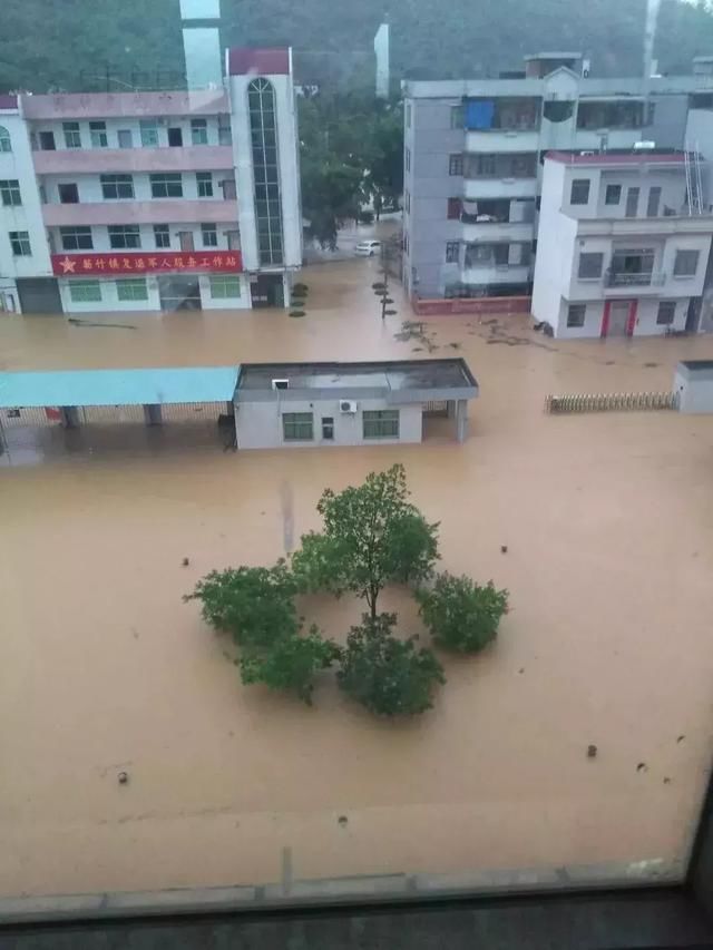 暴雨来袭,我们应如何防止触电伤害?