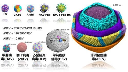 武汉出现新型病毒