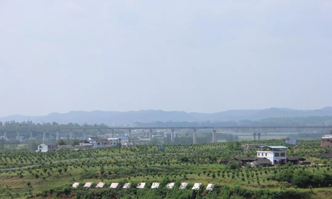 四川南充青姓总人口_四川南充青居镇风景(2)