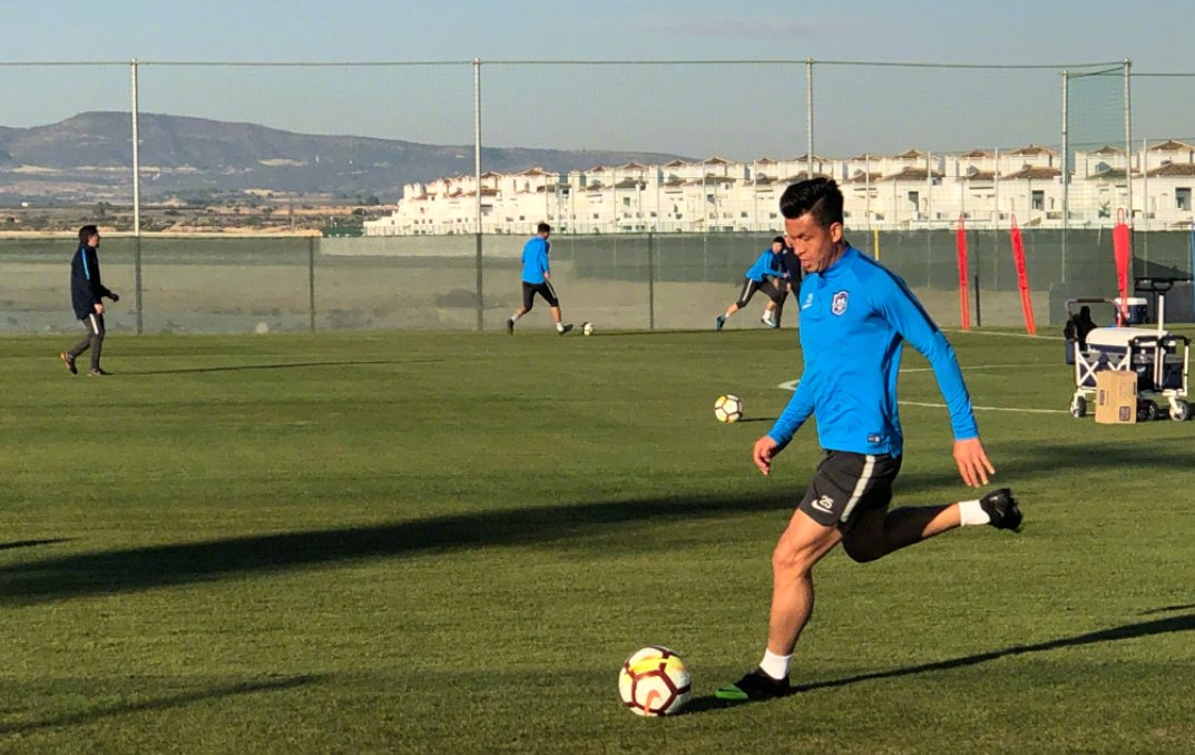 天津泰达足球俱乐部最新训练动态,主帅施蒂利