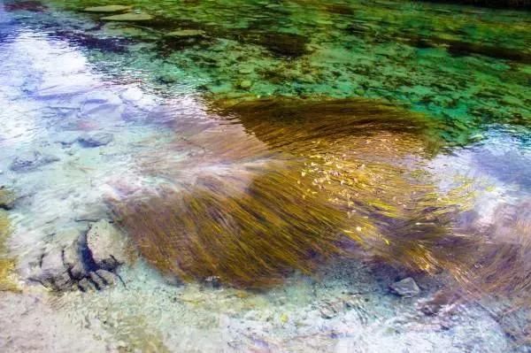 触碰心灵的稻城亚丁