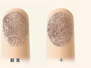 手指有几个斗的人,天生就是劳碌命,有钱都没时