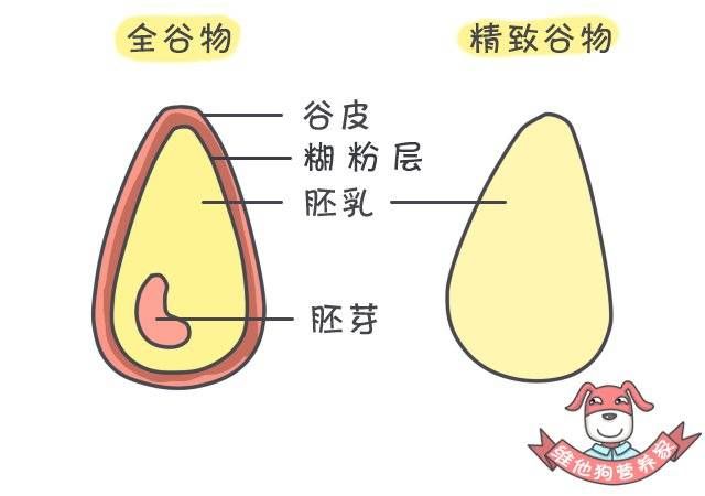 养生不止眼前的枸杞 这么吃健康又减肥