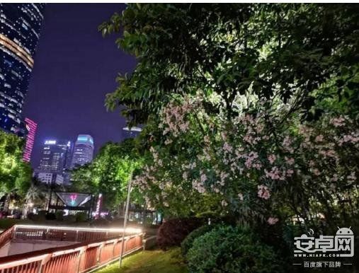 摄影旗舰巅峰对决!华为P20 Pro和苹果iPhone