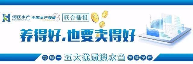 鳜鱼、黄颡鱼跌破成本价!广东加州鲈领涨全国!生鱼回落0.2元\/