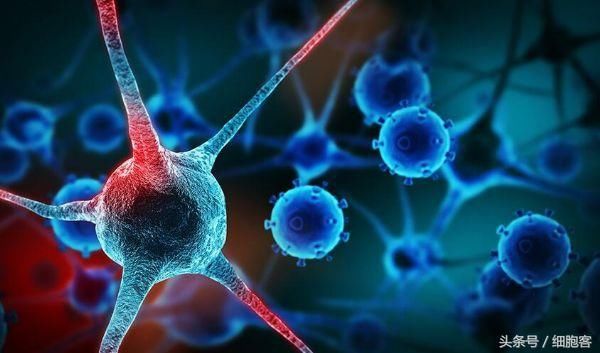 12个干细胞临床研究项目备案,细胞政策落地加