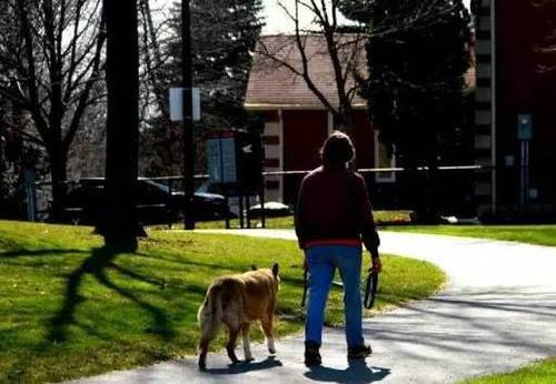国家关于小区养狗规定