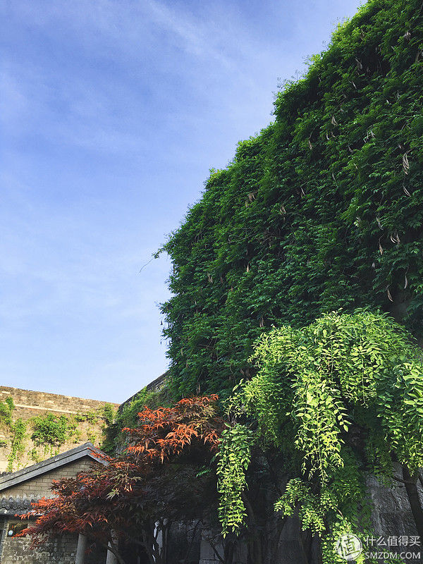 再游南京的那两天，我去了这些地方