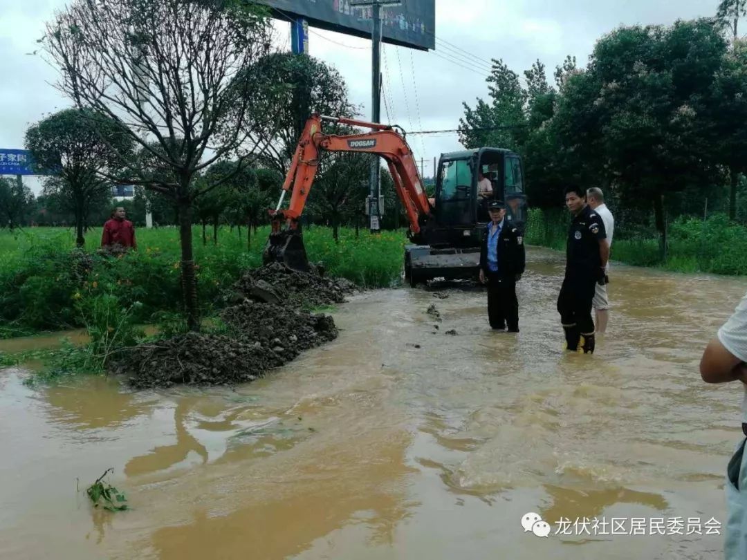 关于龙伏社区暴雨天开展各种防汛安全工作隐患
