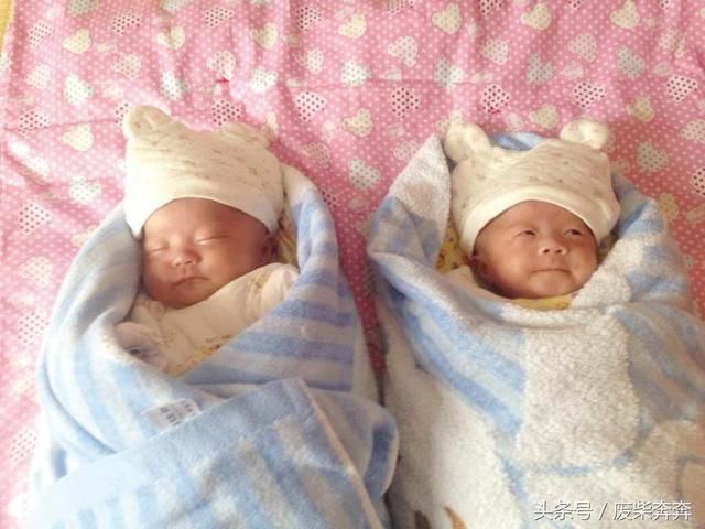 谢娜剖腹产双胞胎女儿,张杰谢娜升级为人父人