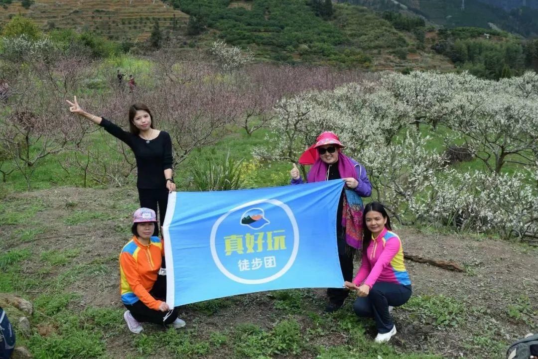 三月份来粤北这个山中桃花海洋，随便一拍就可以刷爆朋友圈！