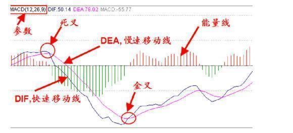 中国股市惊现最大的一场骗局，两亿散户还能坚持多久？