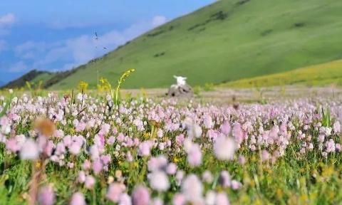 川藏线塌方与泥石流的高发期，为什么人们偏要选择在雨季入藏？