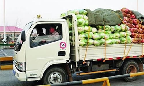 发财中国年！农村人年后家门口就能赚钱的行业，比打工强太多