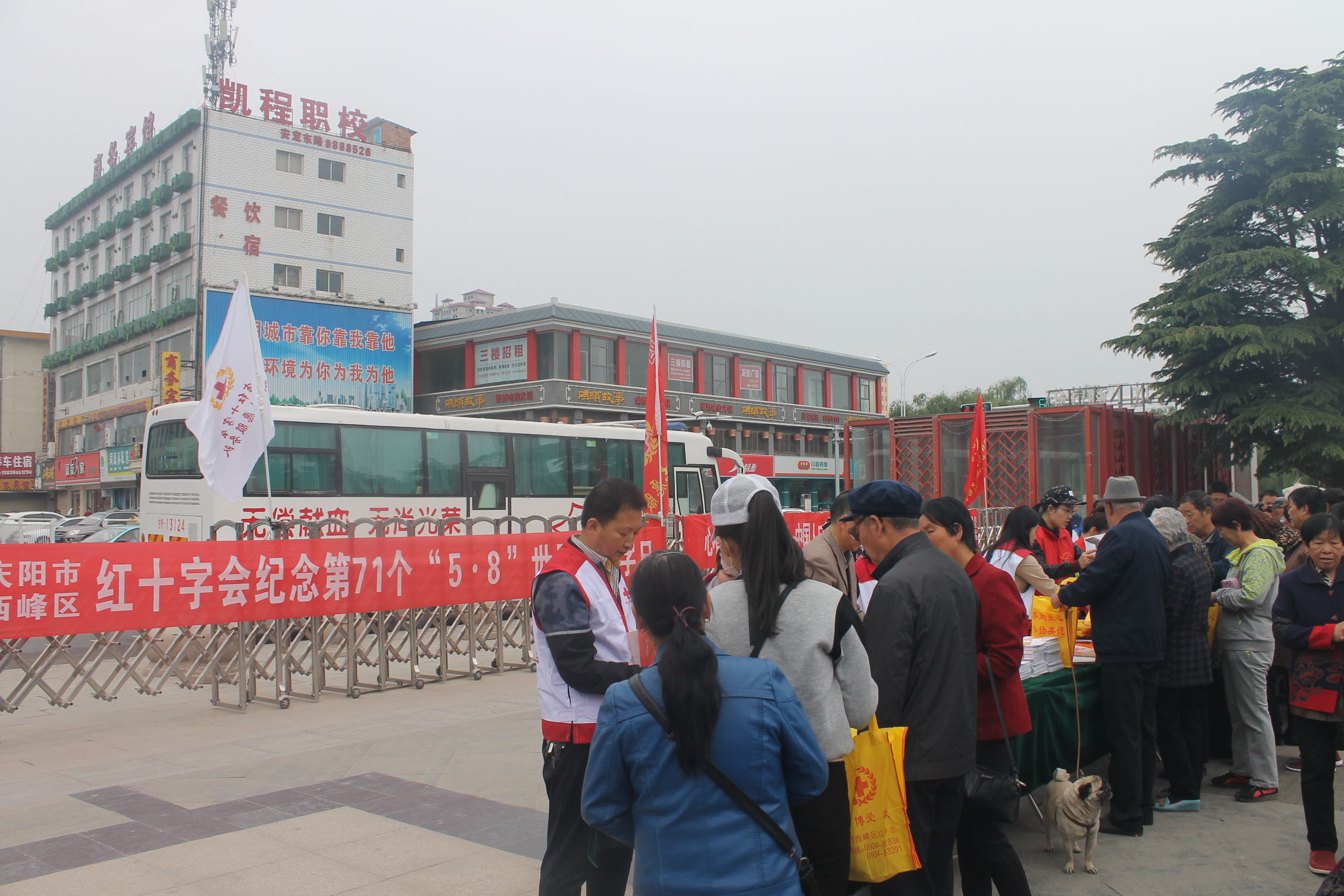 庆阳市红十字会开展人道-为了你的微笑主题
