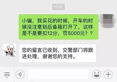 多人被罚！珠海司机不盖尾箱装年货，罚5千扣12分？