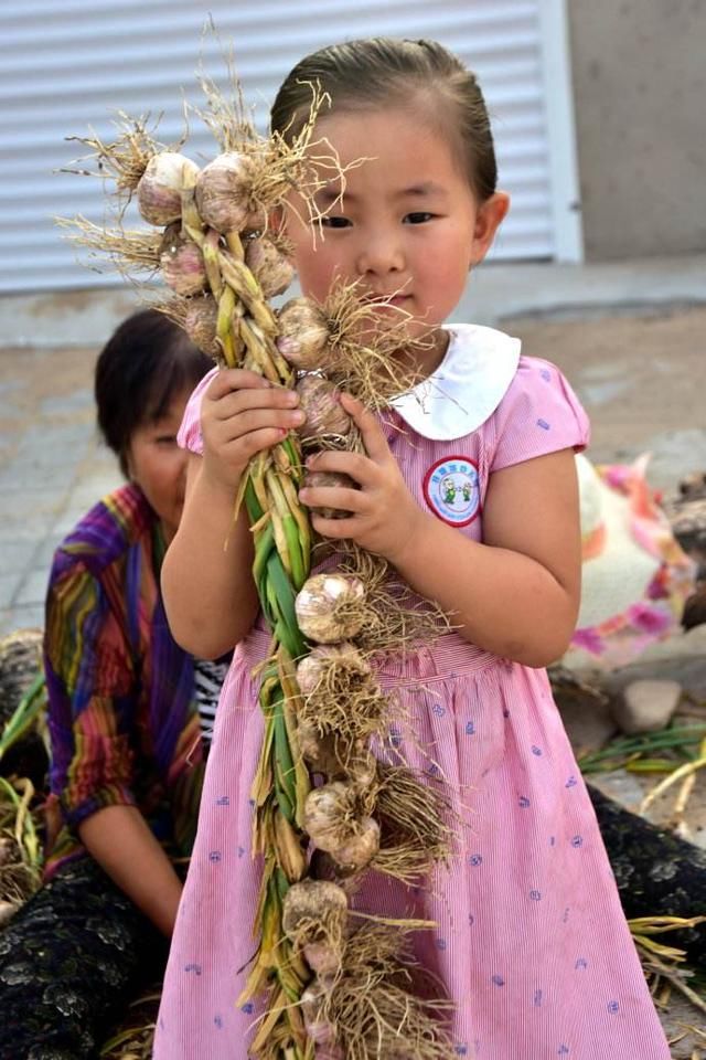 农村种植怪象：有人种什么赚钱了，大家就跟着种，然后全部卖不掉