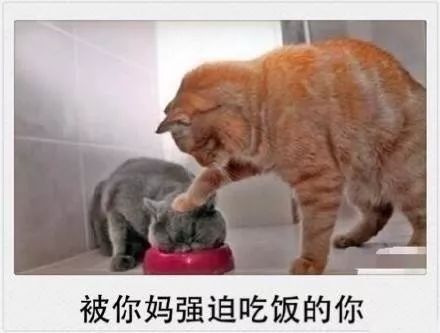 你的剩余假期被雨水承包了!还有一件扎心的事……
