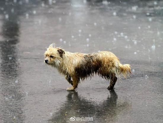 气温倒降雨要下大! 河南这些城市局地暴雨