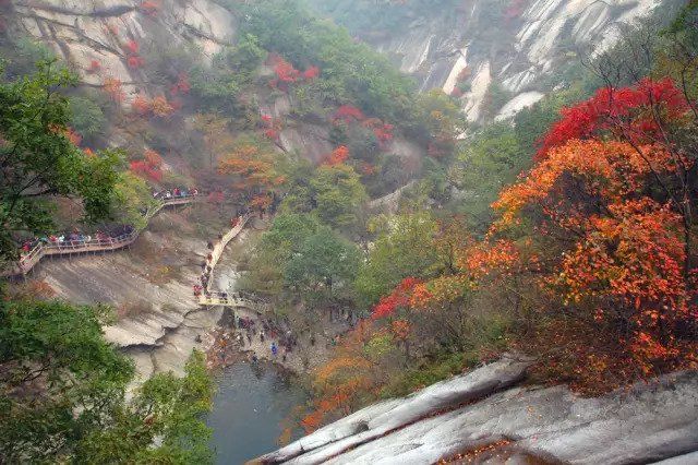 地址:洛阳市嵩县车村镇龙王村