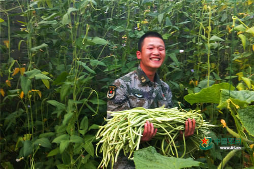 高原官兵谈种菜：吃不完，烂到地里也要种！