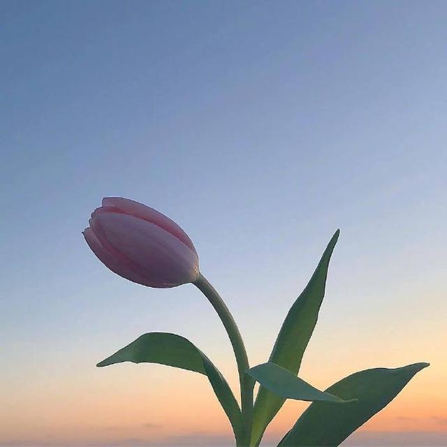 新年致未来自己的唯美句子,很经典很走心,让人