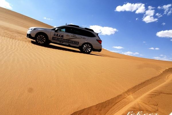 荒漠也不是荒漠了