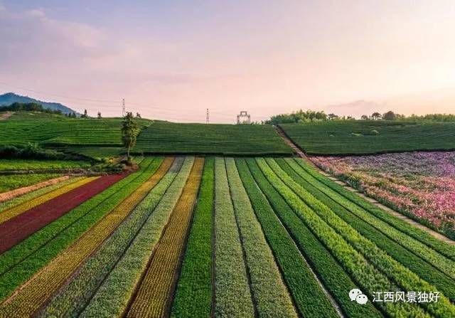 江西最美的乡村旅游名单出炉！宜春哪几家榜上有名？