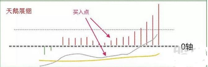 史上唯一能解释楚MACD指标用法的不传战法