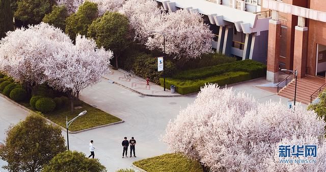 美炸！航拍西安繁花似锦 与春天浪漫邂逅