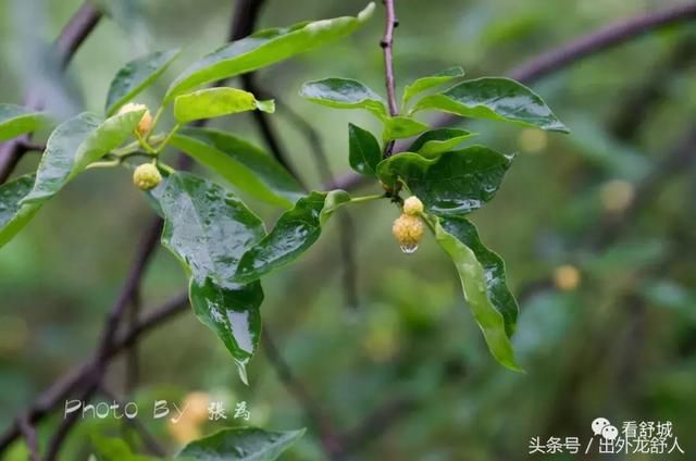 安徽舒城：影像志｜夏日的雨天 游“世外桃源，三国故地”天子寨