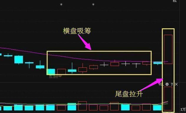 浙江一女博士说破股市:“七不买”，口诀熟背5条，股市就是印炒机