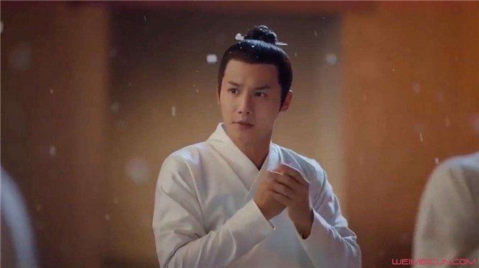 鹤唳华亭的太子结局