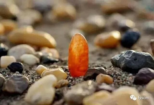 触摸来自新疆的蓝宝石和金丝玉