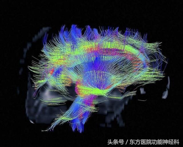 研究表明精神病患者平均寿命较正常人短7年