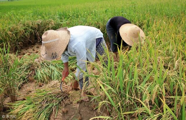 再过几天，农民又要交钱了，每户至少2000元，村村都要！