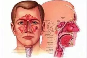 【健康】鼻子难受不能忍!一篇微信掌握关于鼻涕的知识~