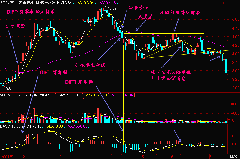 中国股市最赚钱的一种人:做股票坚决“五不碰”，一碰就剁手