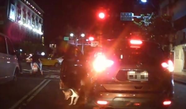 狠心主人在路中间停车,将狗狗推下车就走,只留狗狗在路上追车 诚博娱乐网站