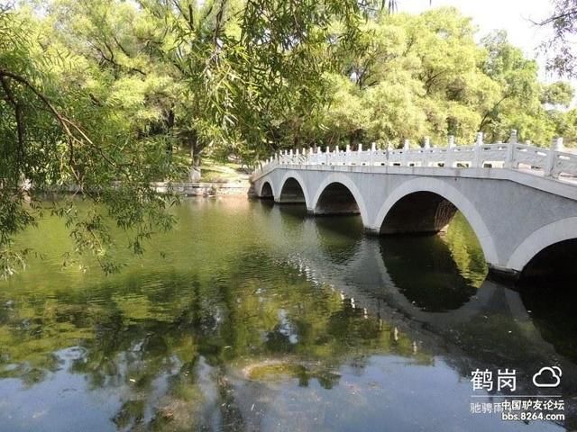 游佳木斯杏林湖公园
