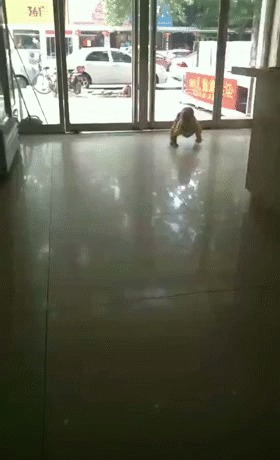 搞笑gif动态图:六一儿童节,给您v动态个图片吧表情绝技微动态信成人包图片