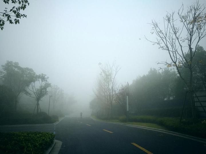 浙江北部大雾天气持续 何时才能从仙境返回人