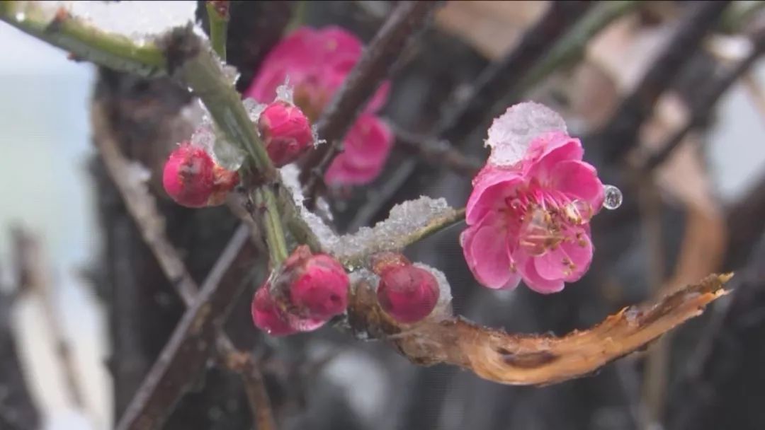 这些地方下雪了~~春如四季的时候又到了……啥时候可以穿T恤?戳里