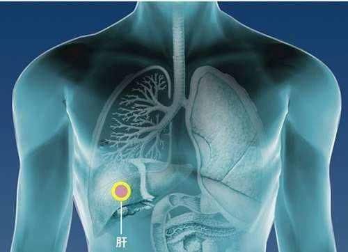 口会得传染乙肝吗