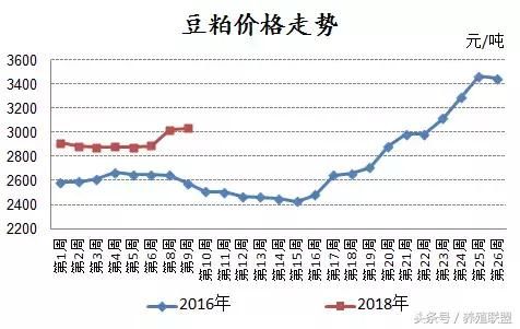 豆粕已涨300！是否将再现2016年的涨势？